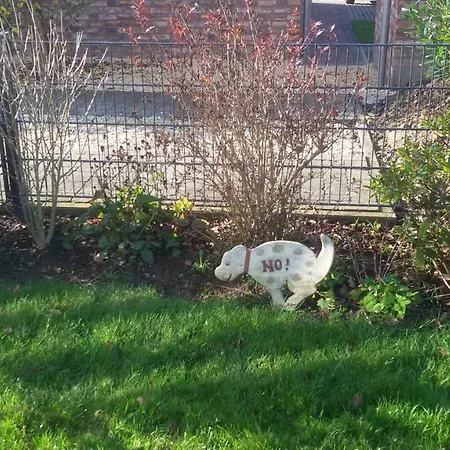 Belair Schmidt * Dorumer Neufeld